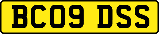 BC09DSS