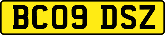 BC09DSZ