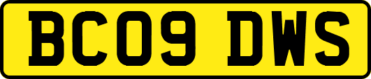 BC09DWS