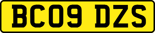 BC09DZS