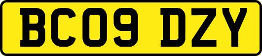 BC09DZY