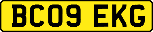 BC09EKG