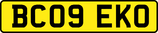 BC09EKO