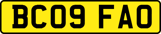 BC09FAO