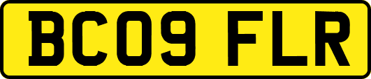 BC09FLR
