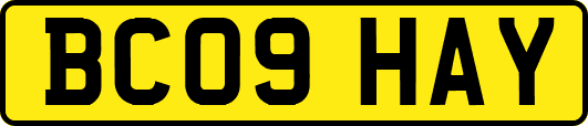 BC09HAY