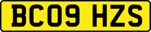 BC09HZS
