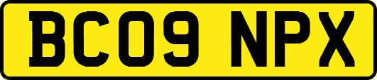 BC09NPX