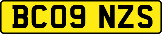 BC09NZS