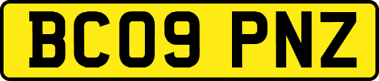 BC09PNZ