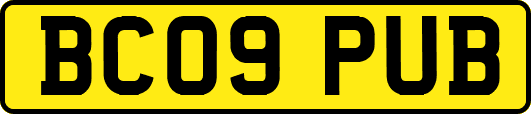 BC09PUB