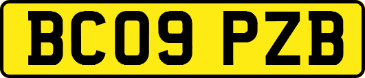 BC09PZB