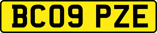 BC09PZE