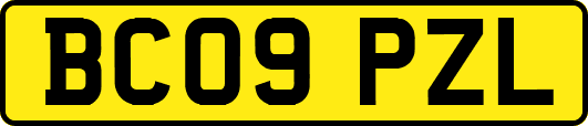 BC09PZL