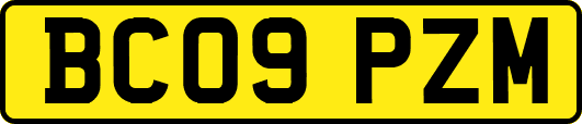 BC09PZM