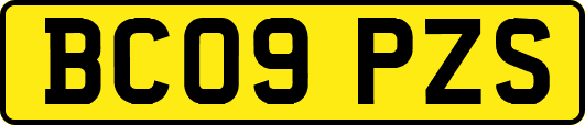 BC09PZS