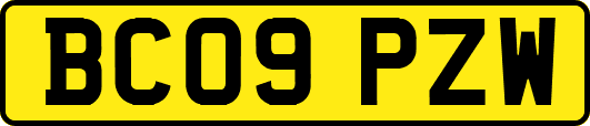 BC09PZW