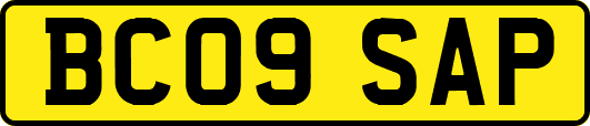 BC09SAP