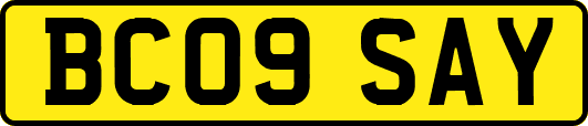 BC09SAY