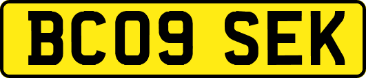 BC09SEK