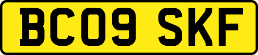 BC09SKF
