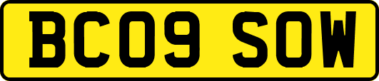BC09SOW