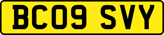 BC09SVY