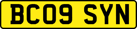 BC09SYN