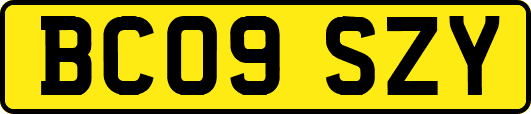 BC09SZY