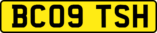 BC09TSH