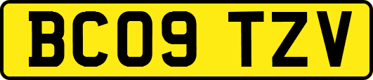 BC09TZV