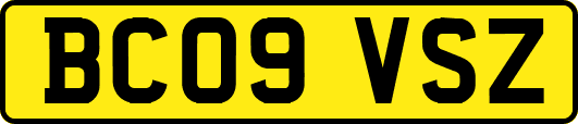 BC09VSZ