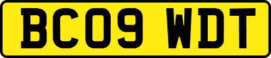BC09WDT