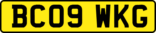 BC09WKG