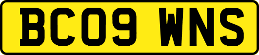 BC09WNS