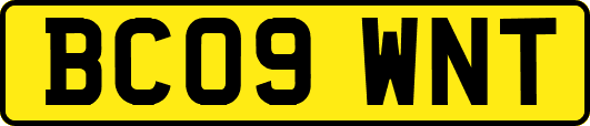BC09WNT