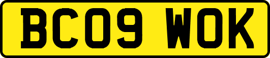 BC09WOK