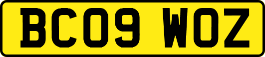 BC09WOZ