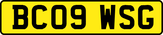 BC09WSG