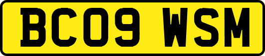 BC09WSM