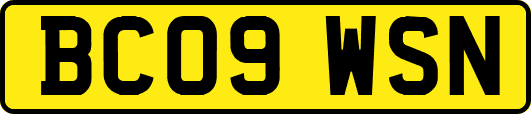 BC09WSN