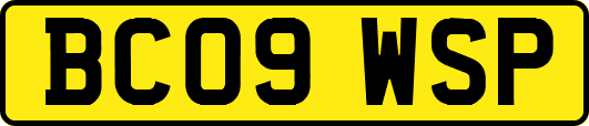 BC09WSP