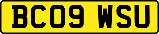 BC09WSU