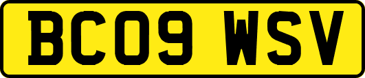 BC09WSV