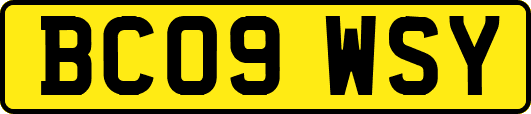 BC09WSY