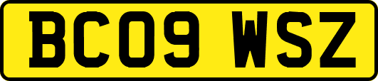 BC09WSZ