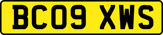 BC09XWS