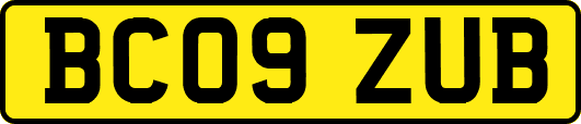 BC09ZUB