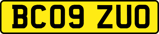 BC09ZUO