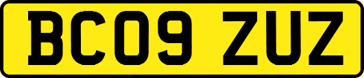 BC09ZUZ